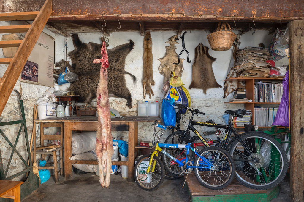 Maria-Papadimitrou-Agrimiká.-Why-look-at-animals_-materiali-per-il-Padiglione-della-Grecia-Biennale-di-Venezia-2015-1