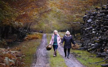 CUANDO CAE EL OTOÑO, UNA PELÍCULA SOBRE LAS SEGUNDAS POSIBILIDADES